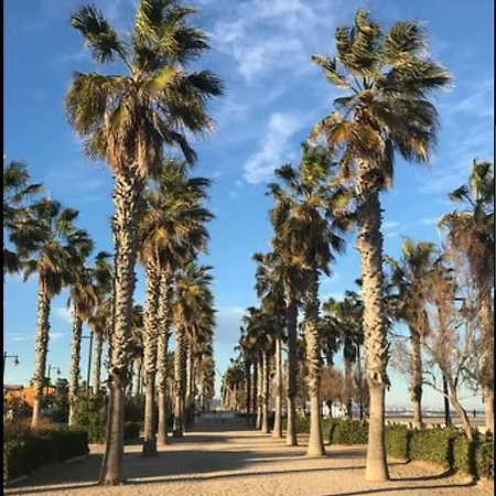 Mar Y Sol Valencia