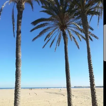 Mar Y Sol *